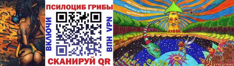 Галлюциногенные грибы Cubensis  omg рабочий сайт  Новороссийск 