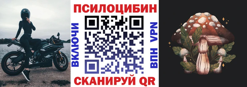 Псилоцибиновые грибы Magic Shrooms Новороссийск