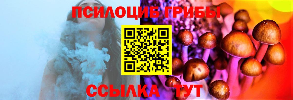 Новороссийск  Галлюциногенные грибы прущие грибы  Вход с VPN 
