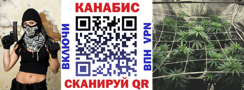 Шишки марихуана MAZAR  гидра ссылки  Новороссийск  закладки 